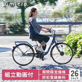 SUISUI(スイスイ) 20インチ